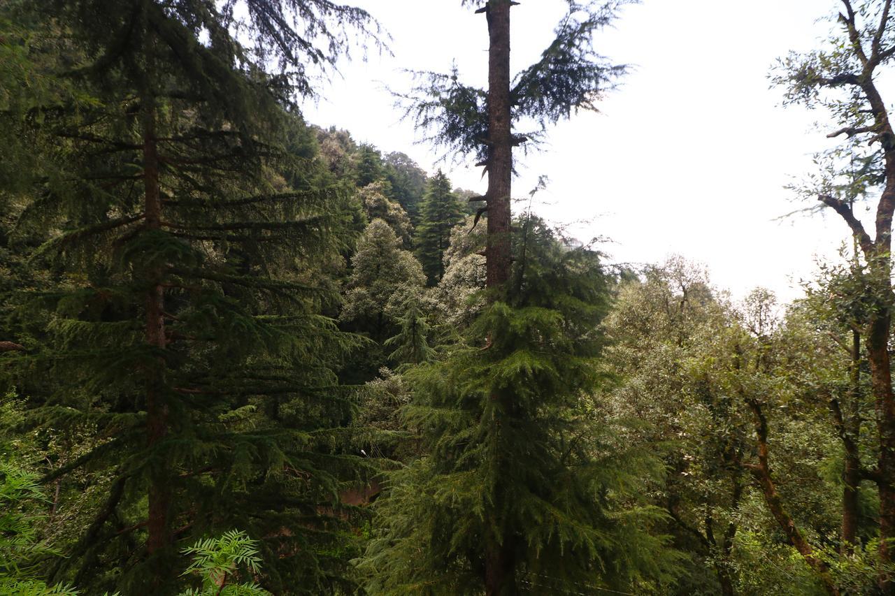 Vilasa Lall Ji Resort Dalhousie Εξωτερικό φωτογραφία